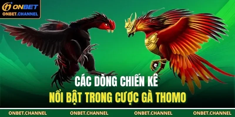 Các dòng chiến kê nổi bật trong cược gà Thomo