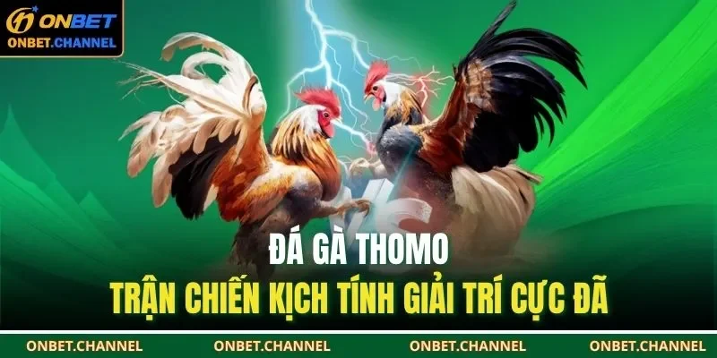 Đá gà Thomo tại ONBET
