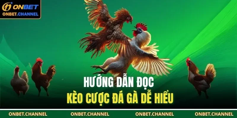 Hướng dẫn đọc kèo cược đá gà dễ hiểu