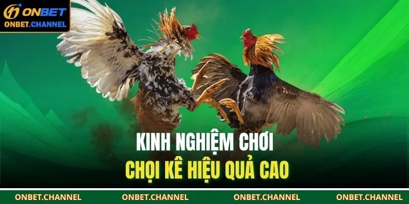 Kinh nghiệm chơi chợi kê hiệu quả cao