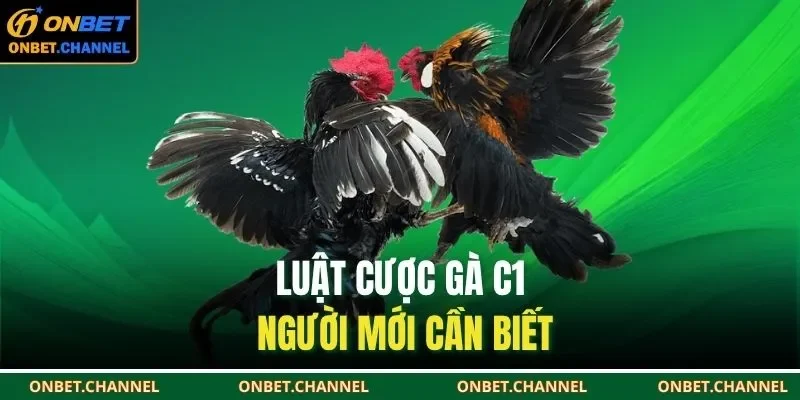Luật cược gà C1 người mới cần biết