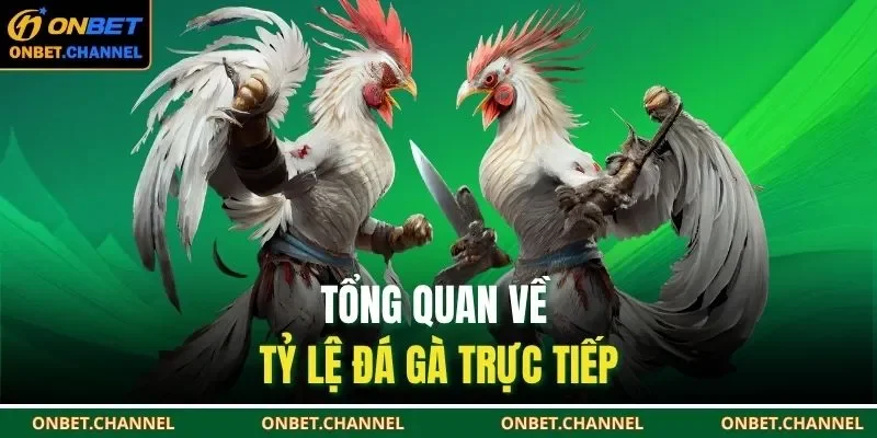 Tổng quan về tỷ lệ đá gà trực tiếp