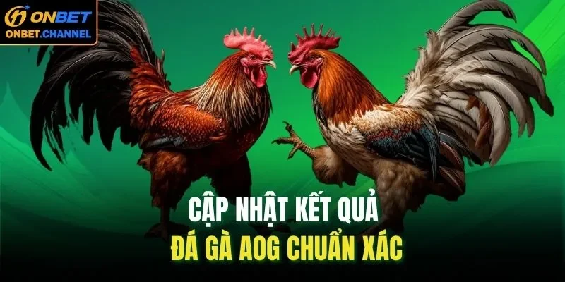 Cập nhật kết quả đá gà AOG chuẩn xác