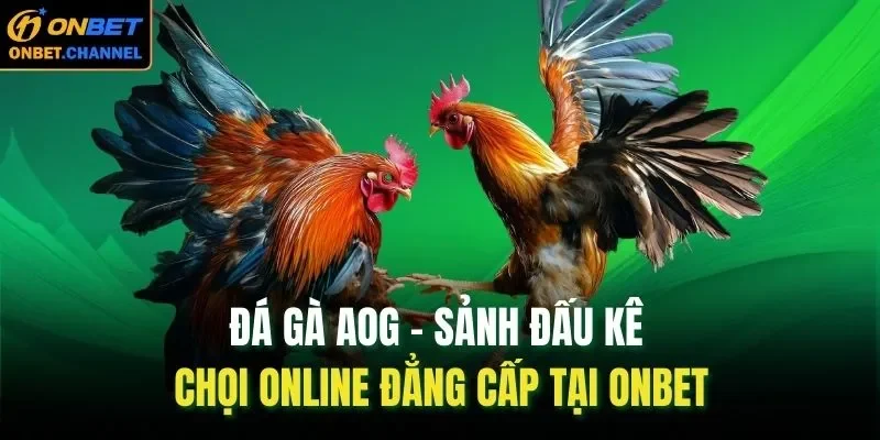 Đá gà AOG xứng đáng là điểm hẹn số 1