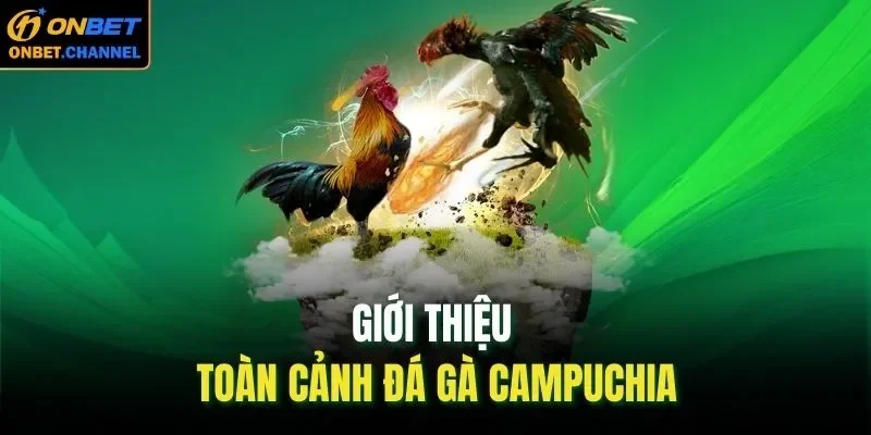 Giới thiệu toàn cảnh đá gà Campuchia