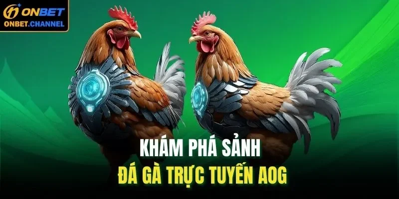 Khám phá sảnh đá gà trực tuyến AOG