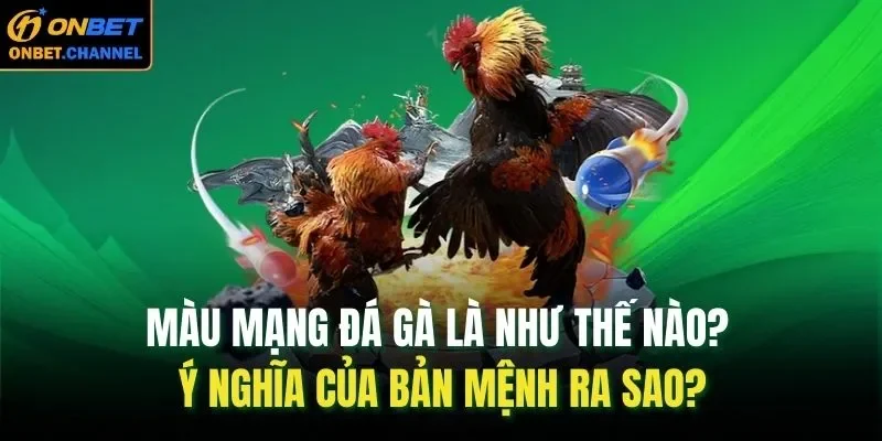 Tìm hiểu về màu mạng đá gà và phong thuỷ